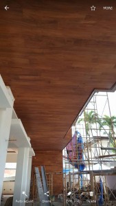 Teak Wood Ceiling